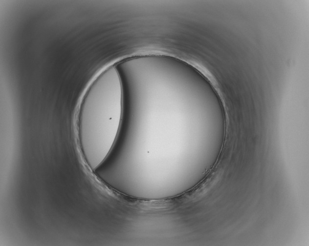 X0000112941008200908241003