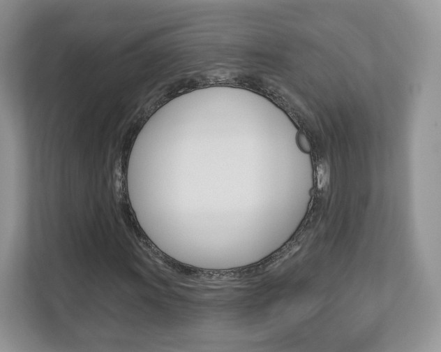 X0000112941011200908241002