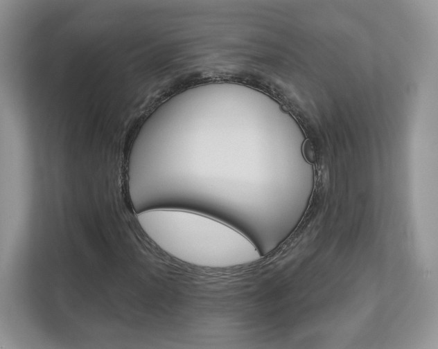 X0000112941012200908241002