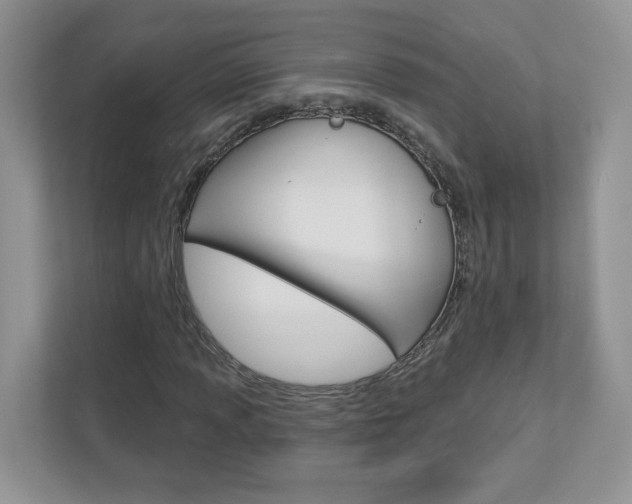 X0000112941013200908241002