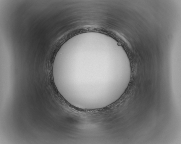 X0000112941015200908241002