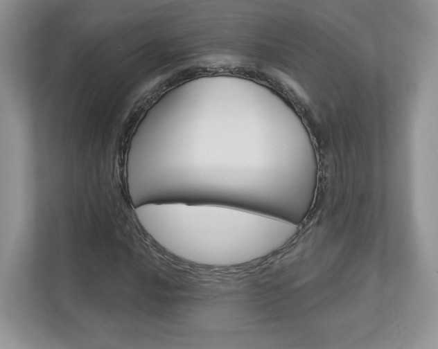 X0000112941016200908241002