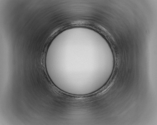 X0000112941017200908241002