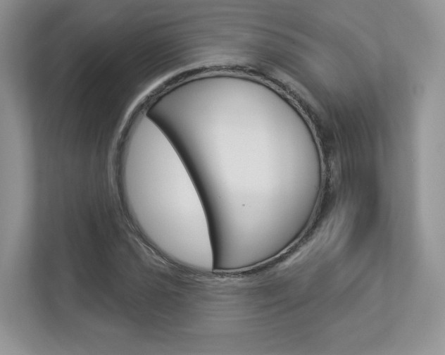 X0000112941021200908241002