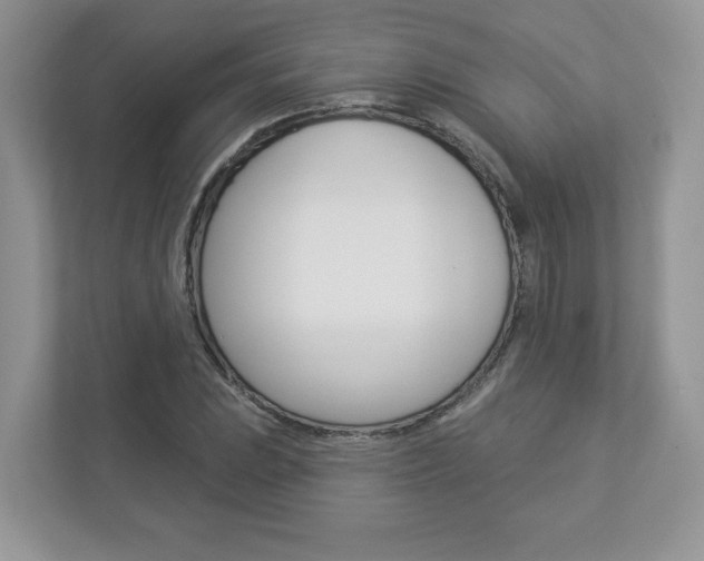 X0000112941023200908241002