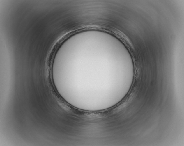 X0000112941027200908241003