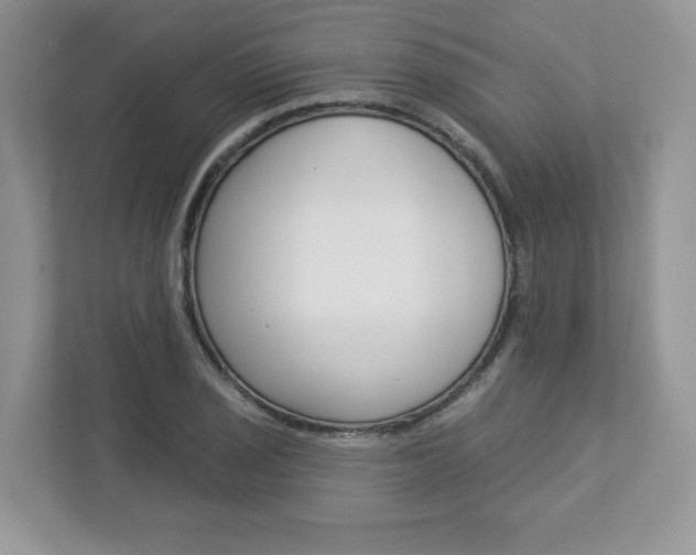 X0000112941029200908241003