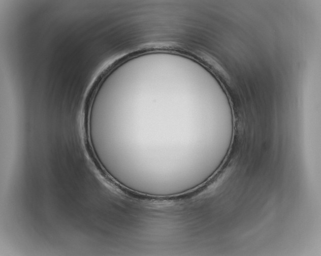X0000112941030200908241003
