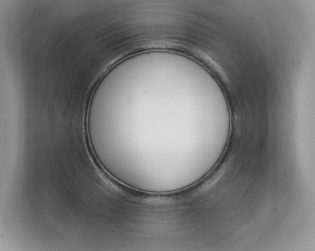 X0000112941033200908241003