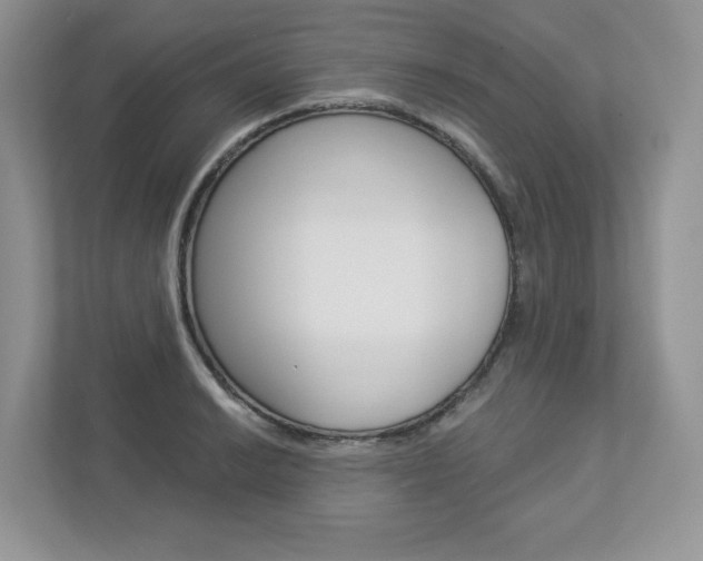 X0000112941038200908241003