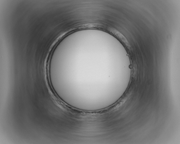 X0000112941039200908241003