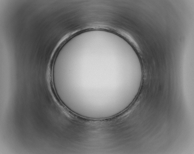 X0000112941040200908241003