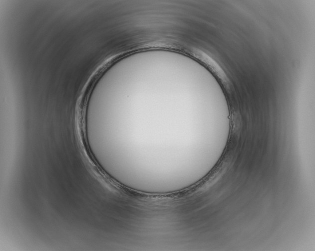 X0000112941043200908241003