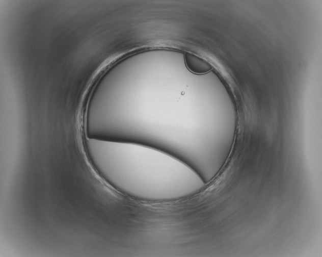X0000112941048200908241003