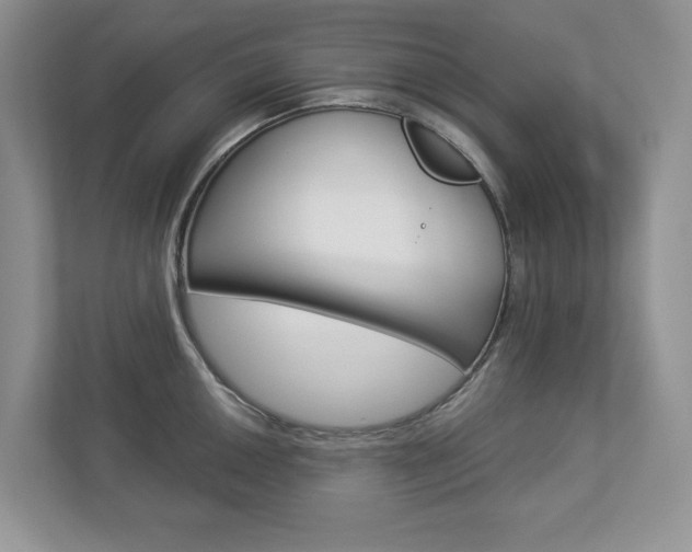 X0000112941050200908241003