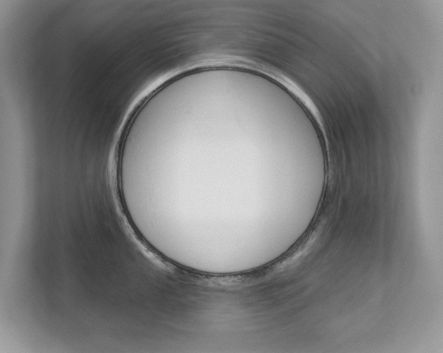X0000112941053200908241003