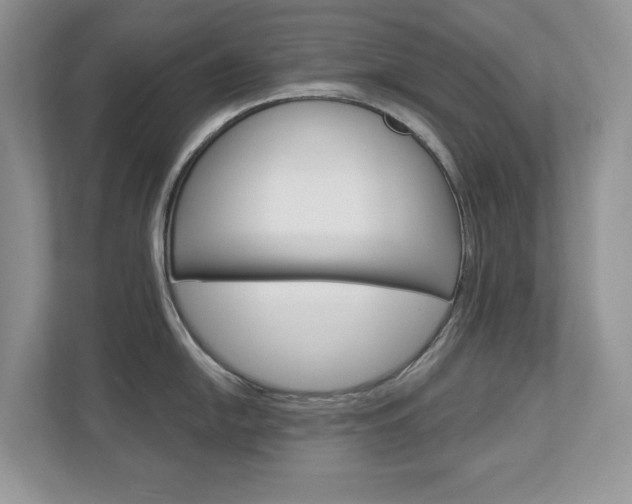 X0000112941054200908241003