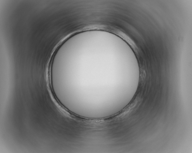 X0000112941055200908241003