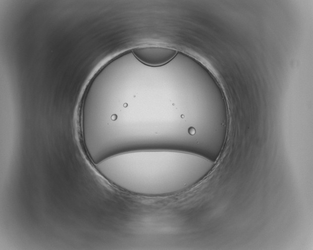 X0000112941056200908241003