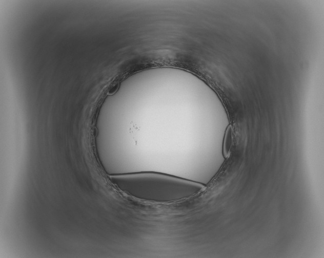 X0000112941057200908241002