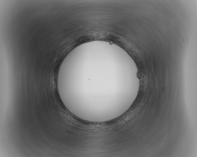 X0000112941058200908241002