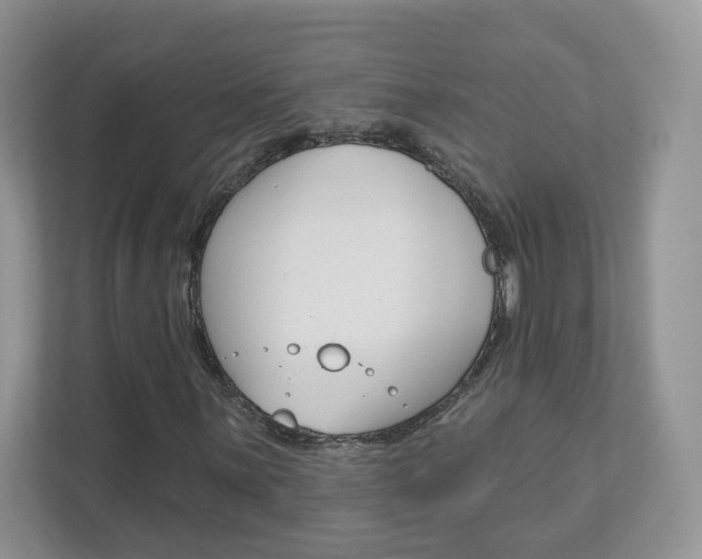 X0000112941059200908241002