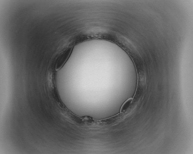 X0000112941060200908241002
