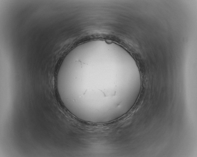 X0000112941061200908241002
