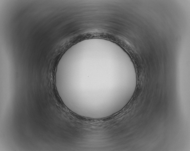 X0000112941062200908241002