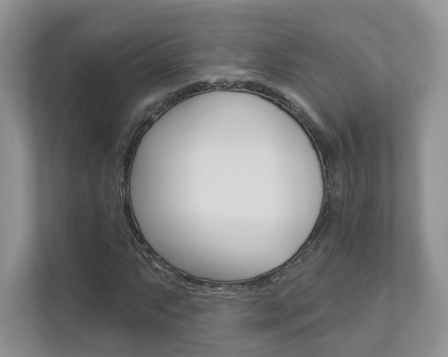 X0000112941063200908241002