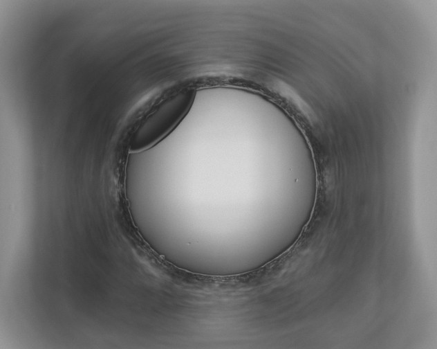 X0000112941064200908241002