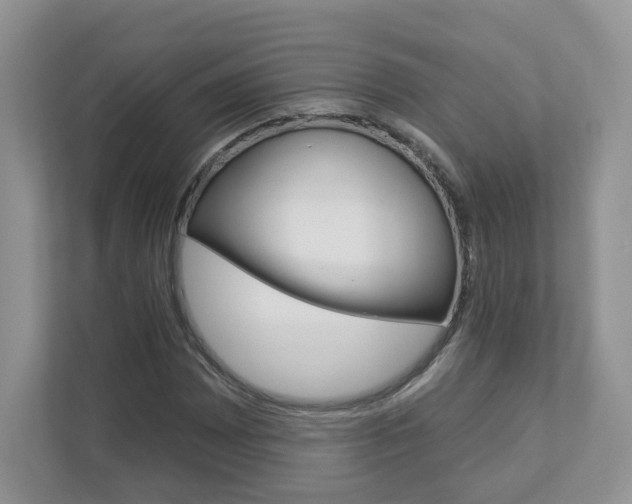 X0000112941065200908241002