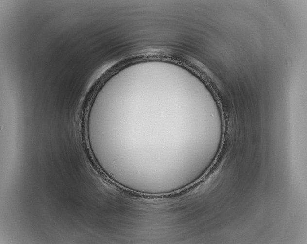 X0000112941066200908241002
