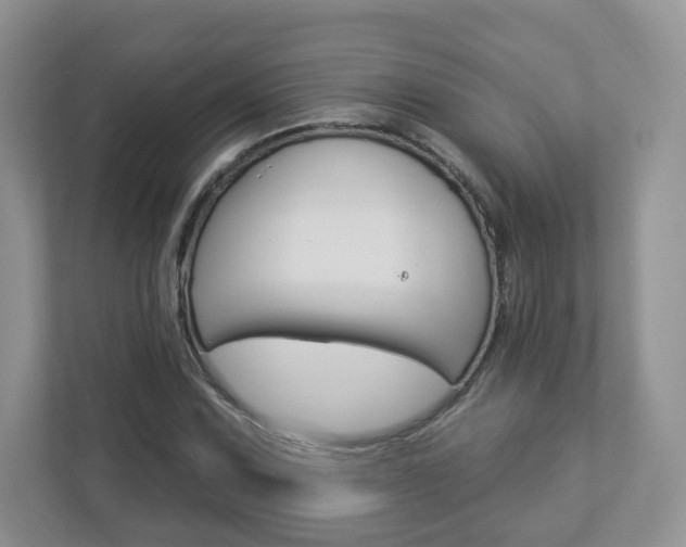 X0000112941067200908241002