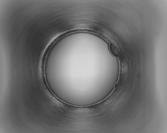 X0000112941068200908241002