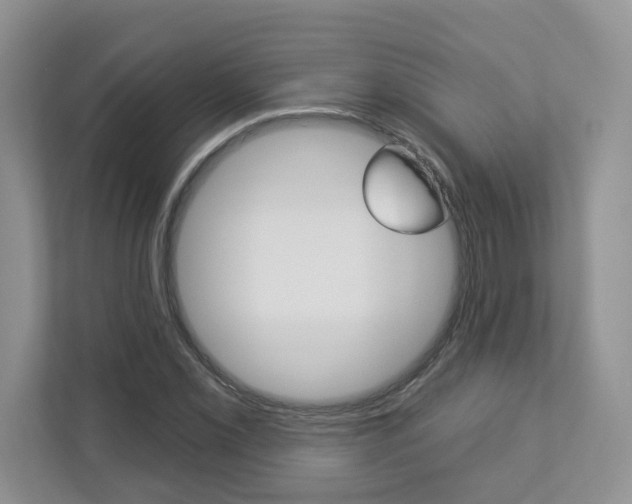 X0000112941069200908241002