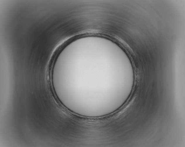 X0000112941070200908241002