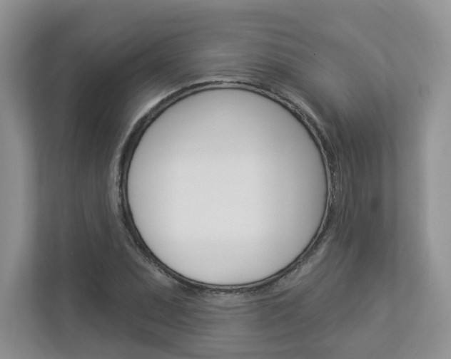 X0000112941071200908241002