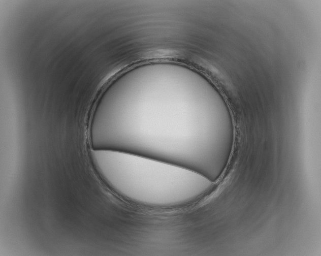 X0000112941073200908241002
