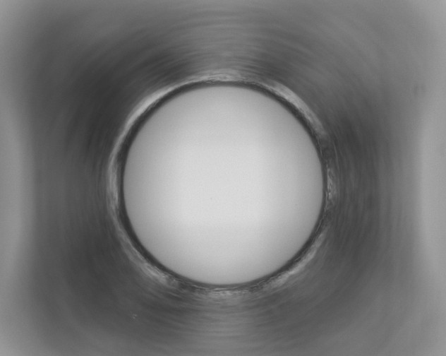 X0000112941078200908241002