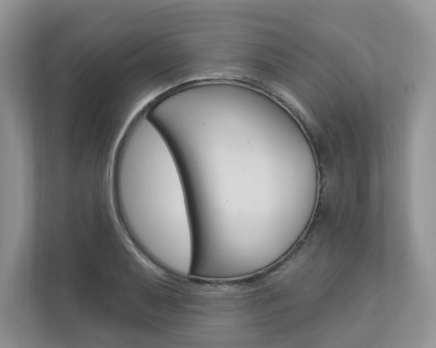 X0000112941079200908241002