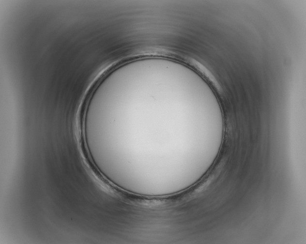 X0000112941082200908241002