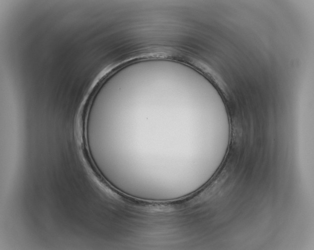X0000112941083200908241002