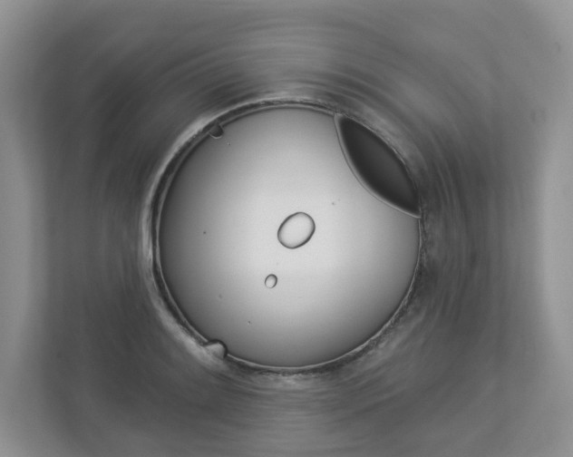 X0000112941084200908241002