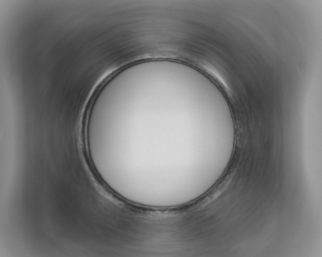 X0000112941087200908241002