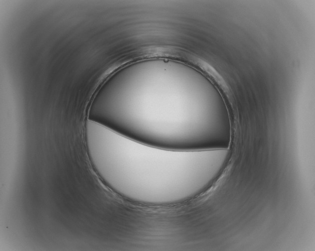 X0000112941089200908241002