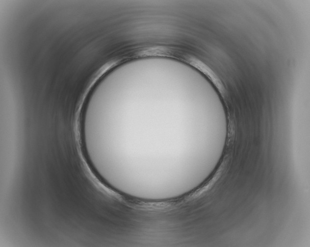 X0000112941090200908241002