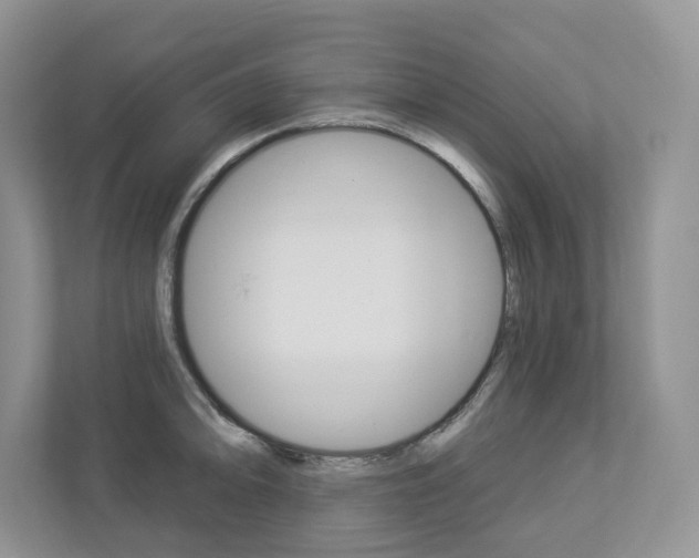 X0000112941094200908241002