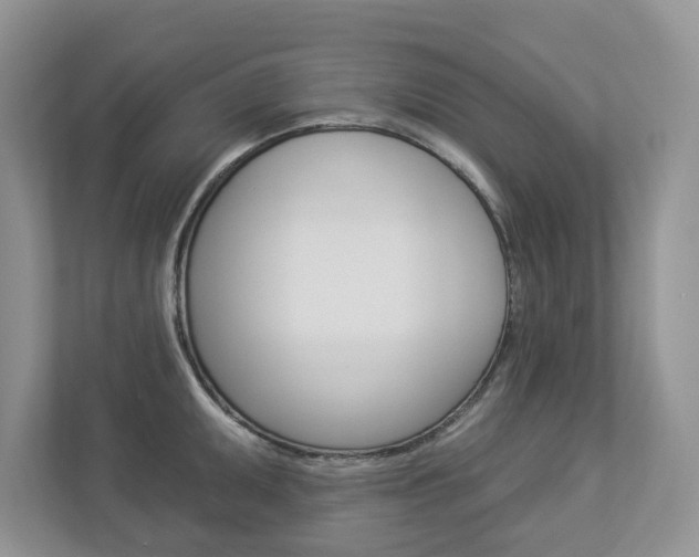 X0000112941095200908241002