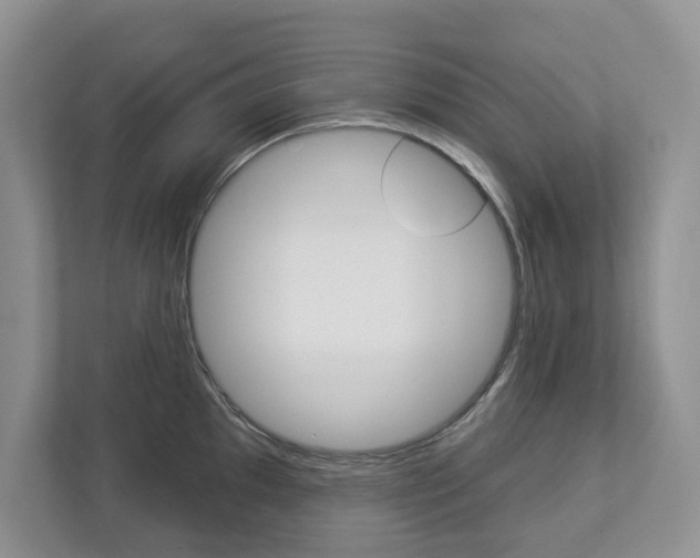 X0000112941097200908241002